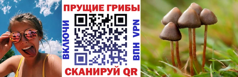 Галлюциногенные грибы мицелий  магазин продажи наркотиков  Яхрома 
